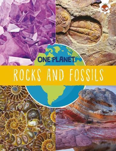 Cover image for Rocks and Fossils