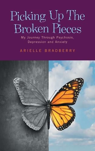 Cover image for Picking Up The Broken Pieces: My Journey Through Psychosis, Depression and Anxiety