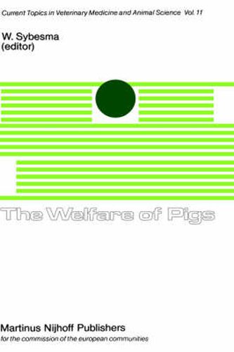 Cover image for The Welfare of Pigs