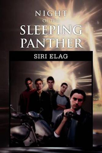 Cover image for Night of the Sleeping Panther