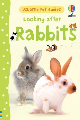 Cover image for Looking after Rabbits