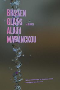 Cover image for Broken Glass: A Novel