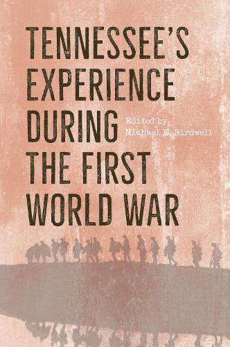 Cover image for Tennessee's Experience during the First World War