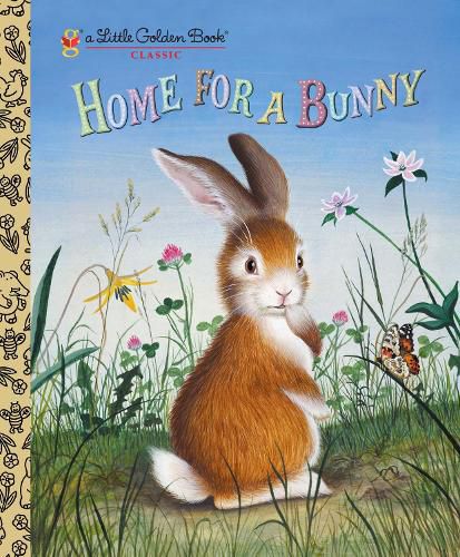 Cover image for Home for a Bunny