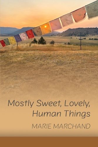 Cover image for Mostly Sweet, Lovely, Human Things