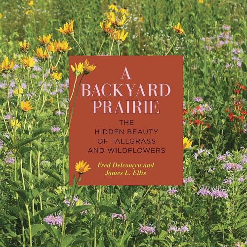 Cover image for A Backyard Prairie: The Hidden Beauty of Tallgrass and Wildflowers