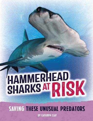 Cover image for Hammerhead Sharks at Risk