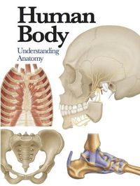 Cover image for Human Body: Understanding Anatomy
