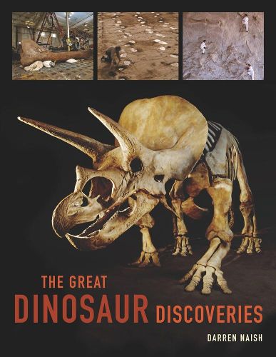 Cover image for The Great Dinosaur Discoveries