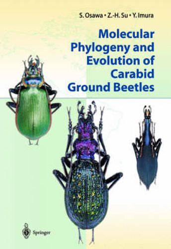 Cover image for Molecular Phylogeny and Evolution of Carabid Ground Beetles