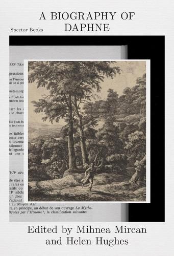 Cover image for A Biography of Daphne