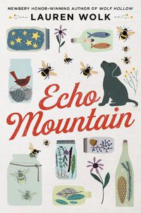 Cover image for Echo Mountain