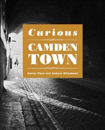 Cover image for Curious Camden Town