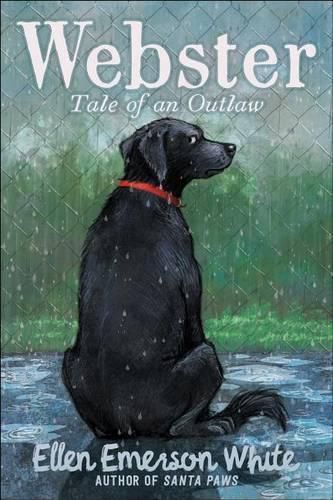 Cover image for Webster: Tale of an Outlaw