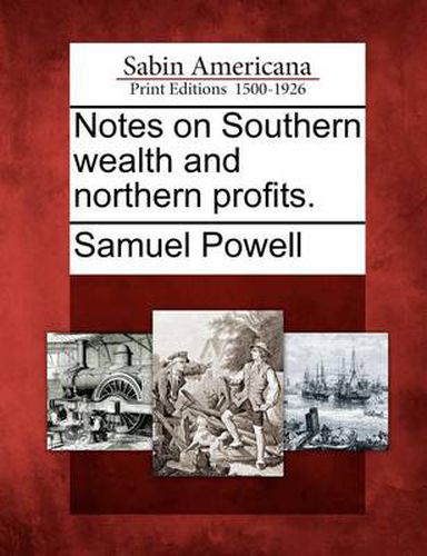 Cover image for Notes on Southern Wealth and Northern Profits.