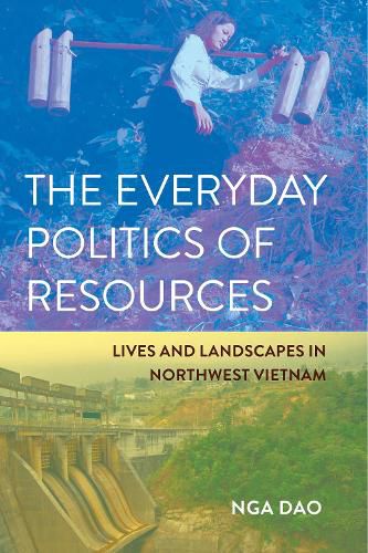 Cover image for The Everyday Politics of Resources