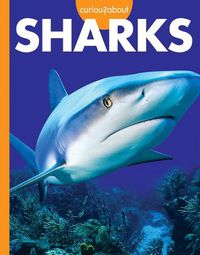 Cover image for Curious about Sharks