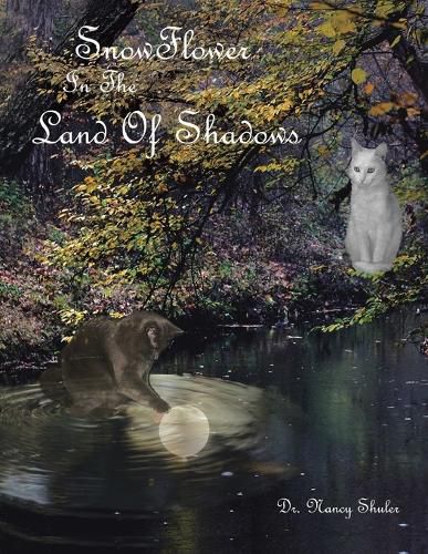 Cover image for SnowFlower In The Land Of Shadows