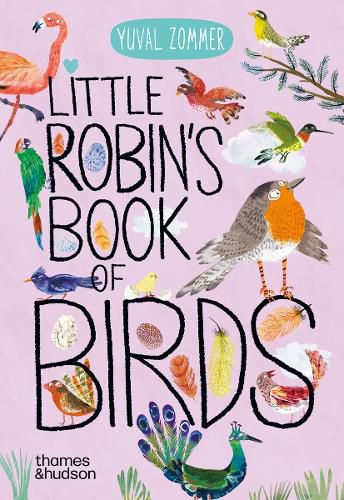 Cover image for Little Robin's Book of Birds