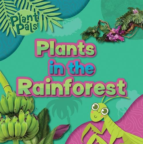 Plants in the Rainforest