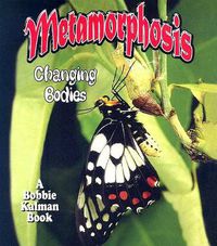 Cover image for Metamorphosis: Changing Bodies