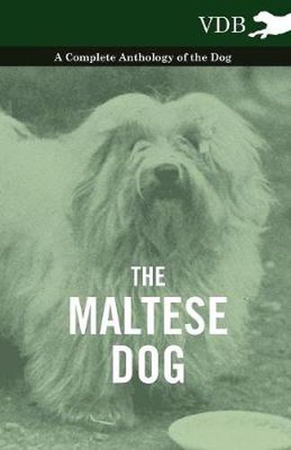 Cover image for The Maltese Dog A Complete Anthology of the Dog