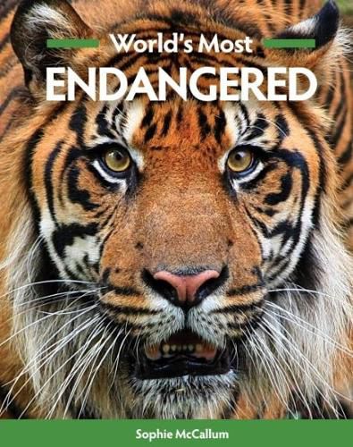 Cover image for World's Most Endangered