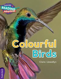 Cover image for Cambridge Reading Adventures Colourful Birds Purple Band