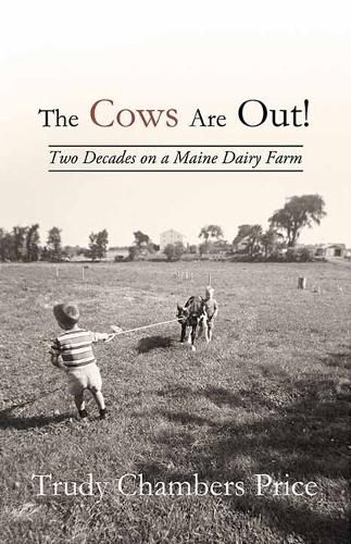 Cover image for The Cows Are Out!