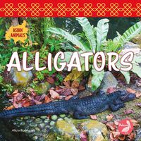 Cover image for Alligators