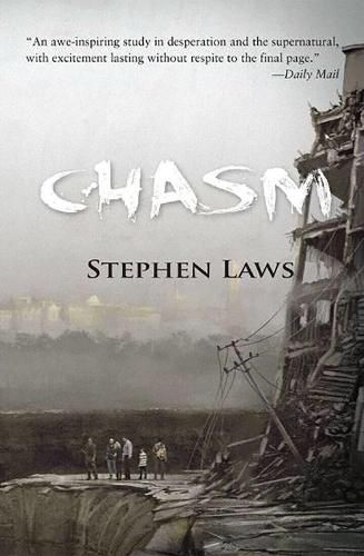Cover image for Chasm