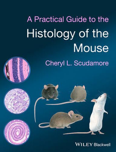 Cover image for A Practical Guide to the Histology of the Mouse
