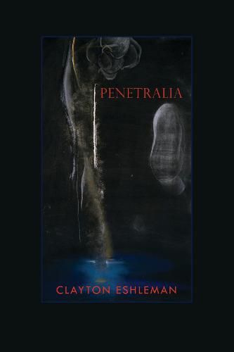 Cover image for Penetralia: Poems