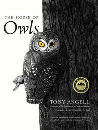 Cover image for The House of Owls