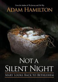Cover image for Not a Silent Night Paperback Edition