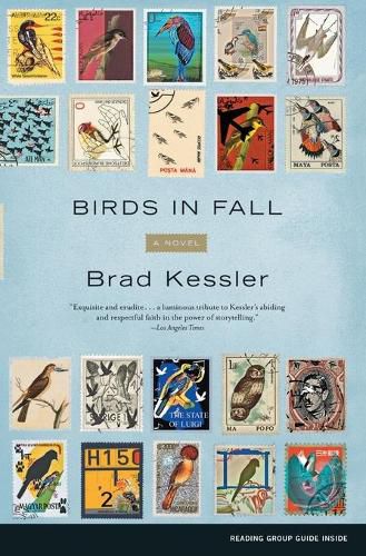 Cover image for Birds in Fall