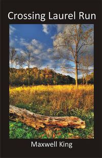 Cover image for Crossing Laurel Run