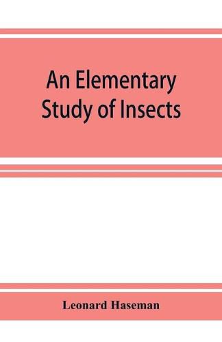 Cover image for An Elementary Study of Insects