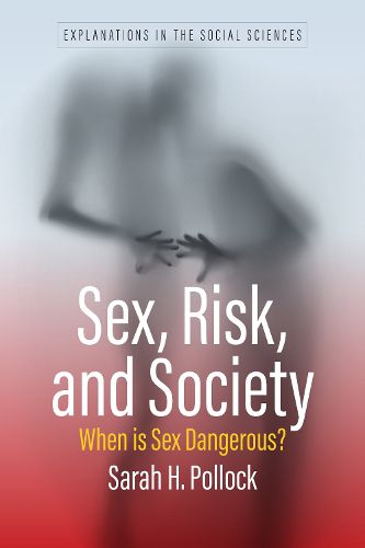 Cover image for Sex, Risk, and Society