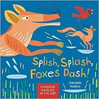 Cover image for Splish, Splash, Foxes Dash!