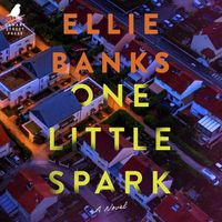 Cover image for One Little Spark