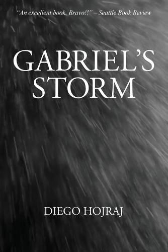 Cover image for Gabriel's Storm