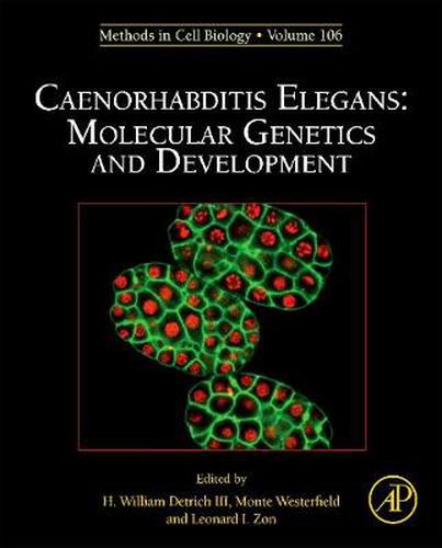 Cover image for Caenorhabditis Elegans: Molecular Genetics and Development