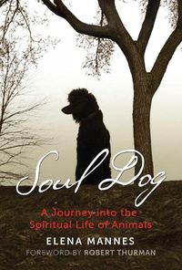 Cover image for Soul Dog: A Journey into the Spiritual Life of Animals