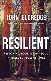 Cover image for Resilient: Restoring Your Weary Soul in These Turbulent Times