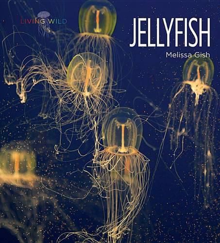 Cover image for Jellyfish