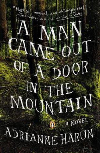 Cover image for A Man Came Out of a Door in the Mountain