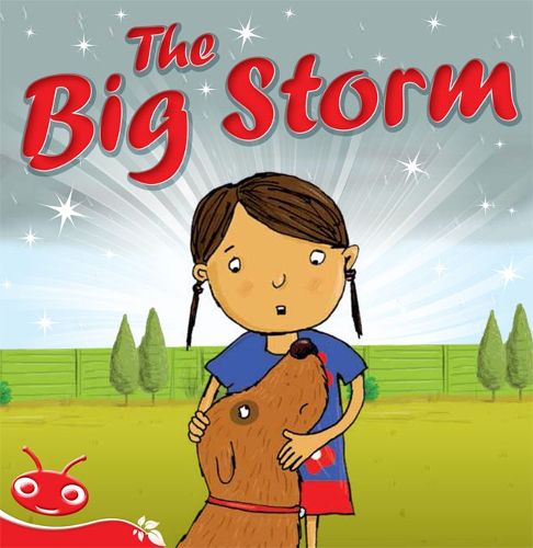 Cover image for Bug Club Level  5 - Red: The Big Storm (Reading Level 5/F&P Level D)