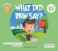 Cover image for What Did Brin Say?: Book 63