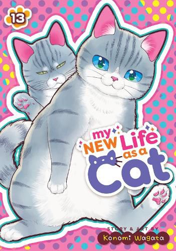Cover image for My New Life as a Cat Vol. 13